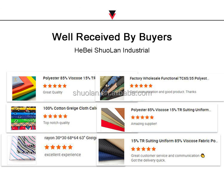 A Special Collection Saudi Arabian Hot Selling TR Shine Winter Muslim Men Fabric English Selvedge Uniform Suiting Fabric