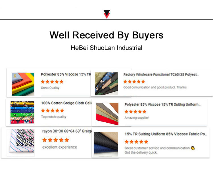 Fabrics and Textiles Wholesale TR Polyester Rayon Spandex Trousers Pants Man Suit Fabric for Clothing